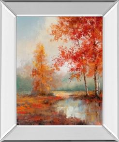 Autumns Grace Ii by T.c Chiu Mirror Framed Print Wall Art - 22" x 26"