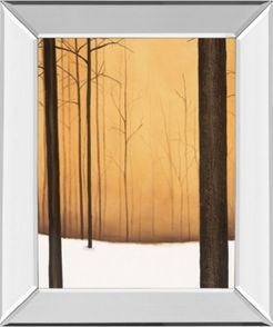 Golden Twilight by St. Germain Mirror Framed Print Wall Art, 22" x 26"