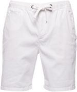 Sunscorched Chino Men's Shorts