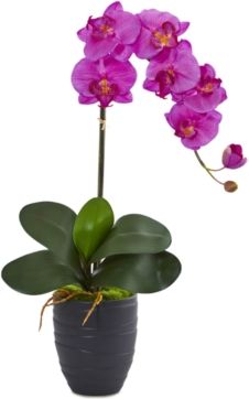 Phalaenopsis Orchid Artificial Arrangement in Black Ceramic Vase