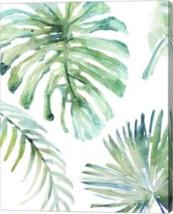 Palm Leaf Variation By Posters International Studio Canvas Art