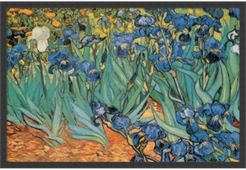 Garden Of Irises By Vincent Van Gogh- Framed Art Print