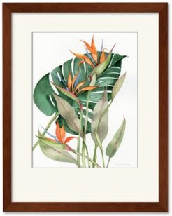 Botanical Birds of Paradise 16" x 20" Framed and Matted Art