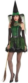 Spell Caster Witch Adult Women's Costume