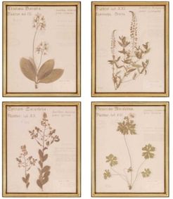 Paragon Botanicals Framed Wall Art Set of 4, 22" x 18"