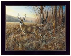 Bluff Country Buck By Jim Hansen, Printed Wall Art, Ready to hang, Black Frame, 14" x 18"