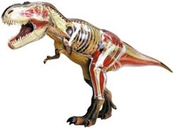 4D Vision Tyrannosaurus Rex Anatomy Model