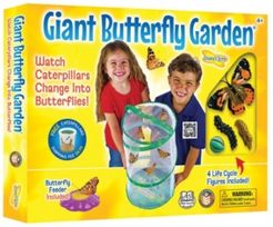 Stem Educational Butterfly Life Cycle Toy With Figurines