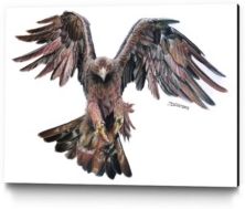 Dino Tomic Golden Eagle Museum Mounted Canvas 32" x 24"