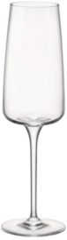 Planeo Flute 8 oz. Set of 4 Glasses