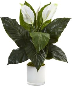 Spathiphyllum Flowering Peace Lily Artificial Plant in Glossy Glass Planter
