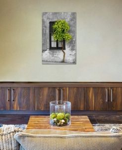 "Tree in Front of Window Green Pop Color Pop" by Panoramic Images Gallery-Wrapped Canvas Print (40 x 26 x 0.75)
