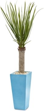 4' Yucca Artificial Tree in Turquoise Planter