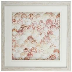 Natural Fan Shell Wall Art in White Distressed Shadowbox Frame - Fan Shell/Ps/Glass/Cardboard
