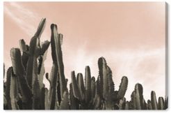 Dream Landscape Cactus Desert Canvas Art - 10" x 15" x 1.5"