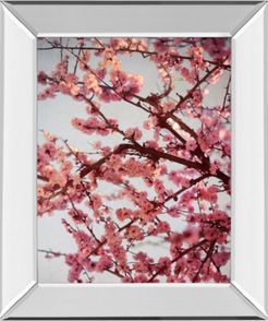 Cherry Blossoms Ii by Susan Bryant Mirror Framed Print Wall Art, 22" x 26"