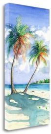 Palm Shadows by Christine Reichow Giclee Print on Gallery Wrap Canvas, 16" x 32"