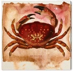 The Red Crab Canvas Art, 24" x 24"