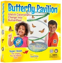 Stem Educational Butterfly Life Cycle Growing Kit