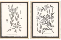 Paragon Gray Botanicals Ii Pack 2 Framed Wall Art, 29" x 23"