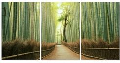 Decor Pine Road 3 Piece Wrapped Canvas Wall Art Forest Scene -27" x 60"