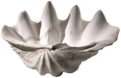 Clam Shell Decorative Bowl