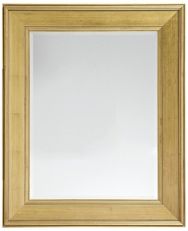 Martha Stewart Westchester Rectangle Accent Mirror