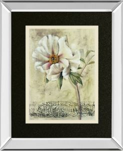 Floral Blush Iii by Carney Mirror Framed Print Wall Art, 34" x 40"