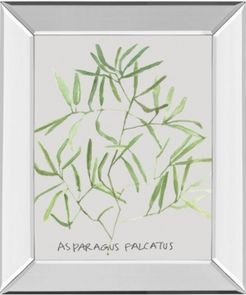 Asparogus Falcatus by Katrien Soeffers Mirror Framed Print Wall Art, 22" x 26"