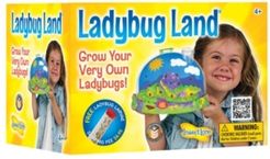 Stem Educational Ladybug Life Cycle Growing Kit