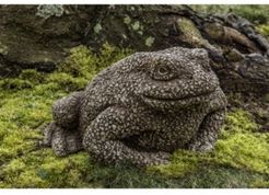 Forest Toad Garden Statue