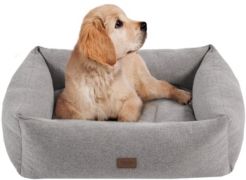 Charlie Medium Memory Foam Pet Bed with Removable Cover