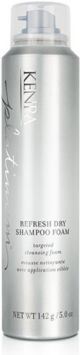 Platinum Refresh Dry Shampoo Foam, 5-oz, from Purebeauty Salon & Spa