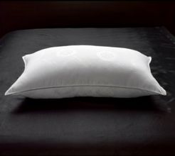 Allergy Free Soft White Down Stomach Sleeper Pillow with MicronOne Technology - Standard