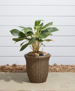 Ocala Curved Oval Wicker Smart Self-Watering Planter