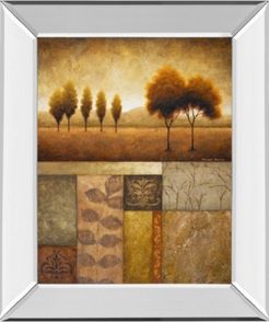 Plainview I by Michael Marcon Mirror Framed Print Wall Art, 22" x 26"