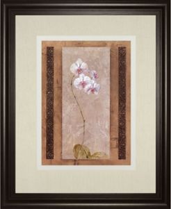 Contemporary Orchid I by Carney Framed Print Wall Art, 34" x 40"