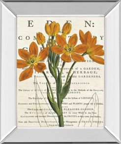 Eurphoria Botany by Sue Schlabach Mirror Framed Print Wall Art, 22" x 26"