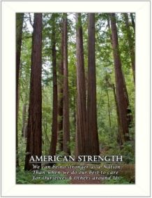 American Strength By Trendy Decor4U, Printed Wall Art, Ready to hang, White Frame, 14" x 10"