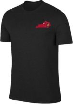 Louisville Cardinals State Pride Dual Blend T-Shirt