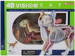 4D Vision Orange Cat Anatomy Model