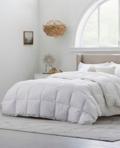 Stay in Bed All-Season EngineeredDown Comforter, Twin/Twin Xl