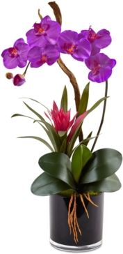Dark Purple Orchid & Bromeliad Artificial Arrangement in Glossy Black Cylinder Vase
