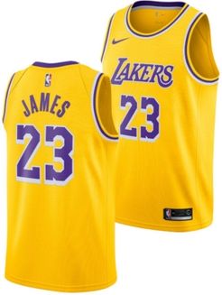 LeBron James Los Angeles Lakers Icon Swingman Jersey, Big Boys (8-20)