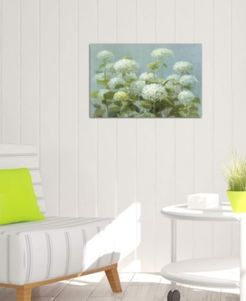 "White Hydrangea Garden" by Danhui Nai Gallery-Wrapped Canvas Print (18 x 26 x 0.75)