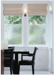 Winter Garden Window Film