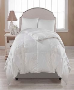 Wesley Mancini Collection Premium Warmth Down Comforter Twin Bedding