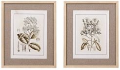 Martha Stewart Tinted Botanical Set Single Linen Mat Framed Graphic 2-Pc Set