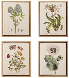 Martha Stewart Herbal Botany Set Framed Linen Canvas 4-Pc Set