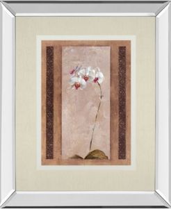 Contemporary Orchid Ii by Carney Mirror Framed Print Wall Art, 34" x 40"